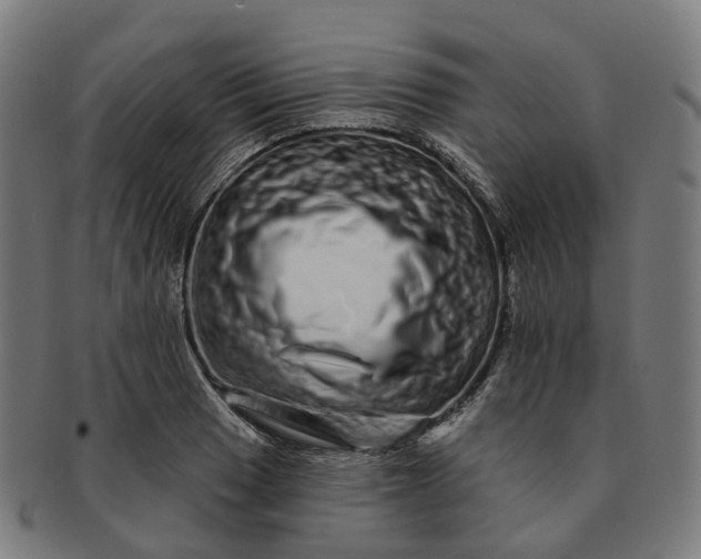 X0000091311033200708241109