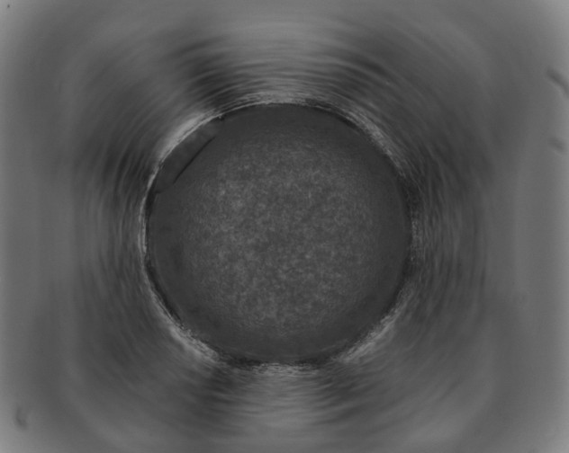 X0000091311034200708241109