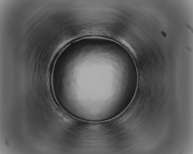 X0000091311035200708241109