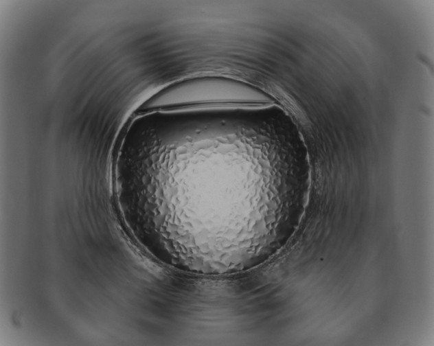 X0000091311036200708241109