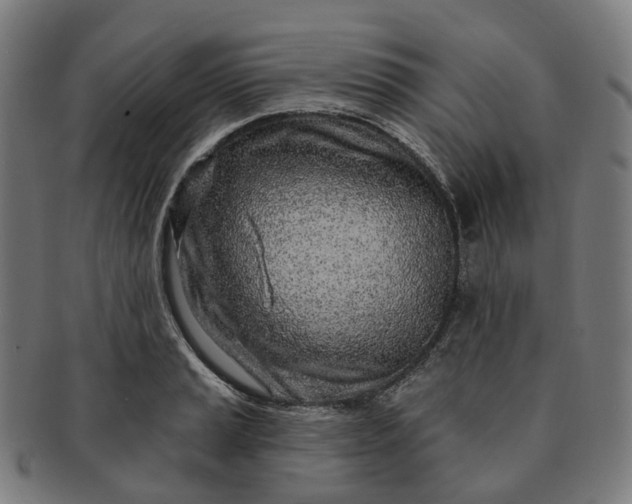 X0000091311037200708241109