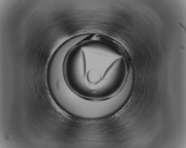 X0000091311038200708241109