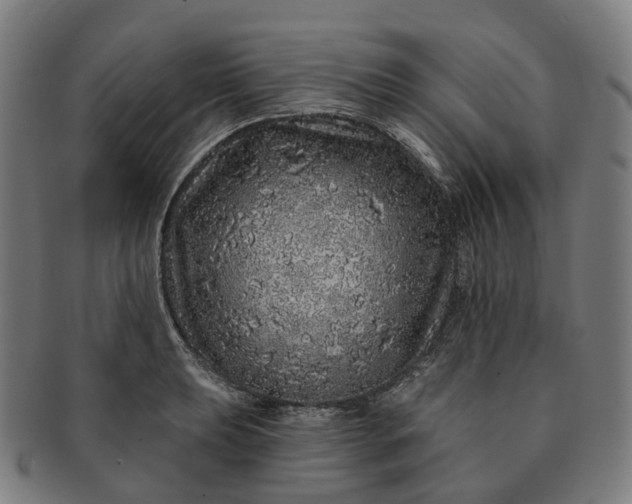 X0000091311039200708241109