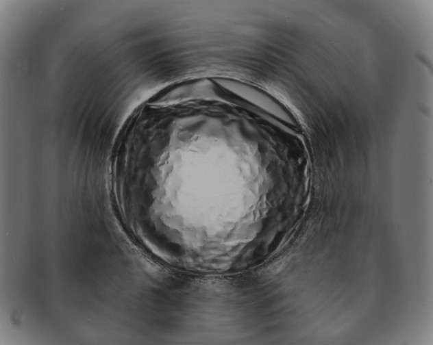 X0000091311040200708241109