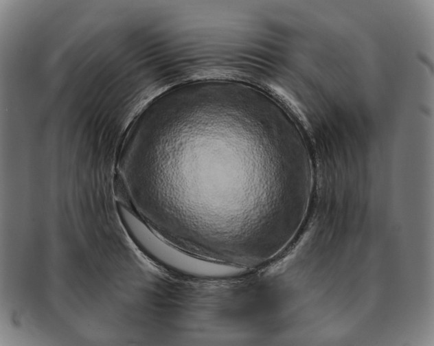 X0000091311041200708241109