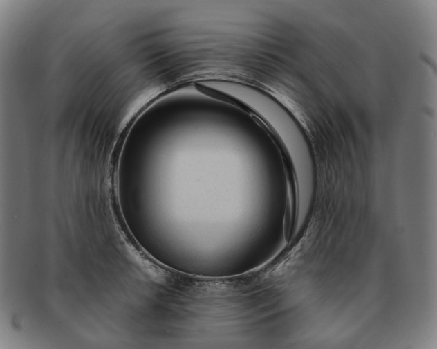 X0000091311042200708241109