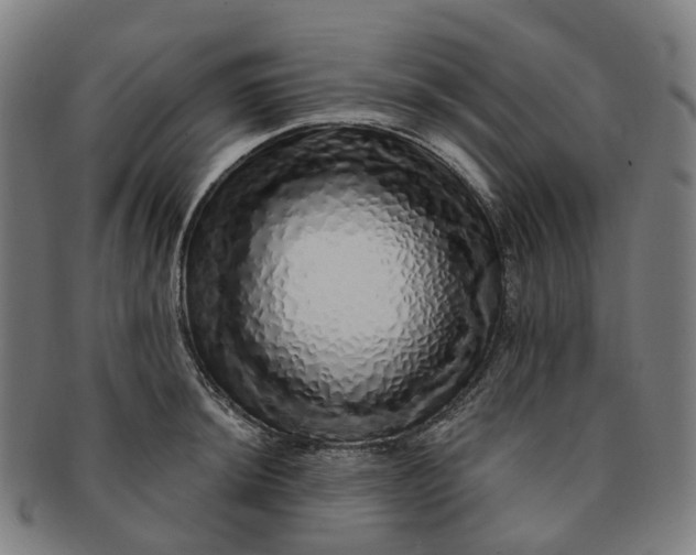 X0000091311044200708241109