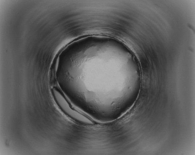 X0000091311045200708241109