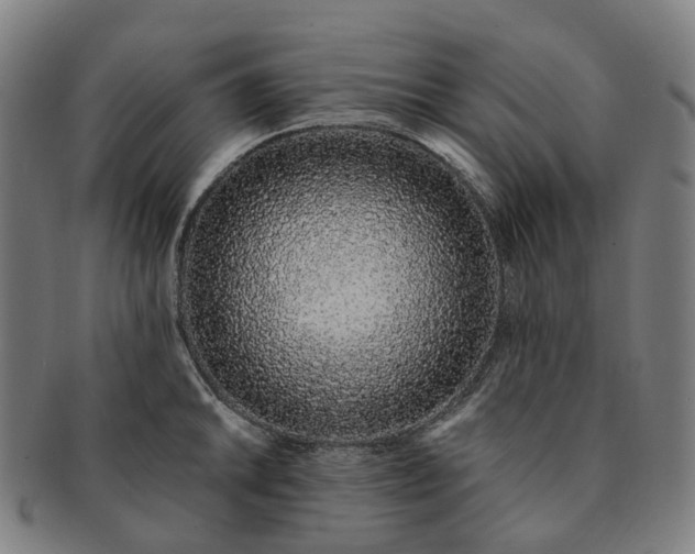 X0000091311046200708241109