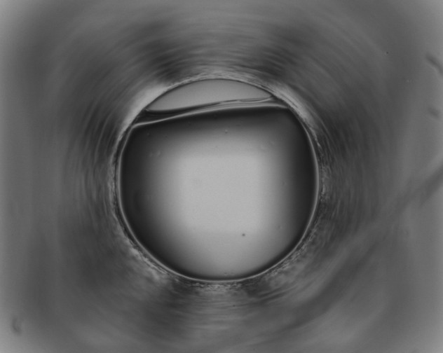 X0000091311048200708241109