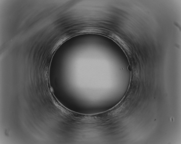 X0000091311049200708241109