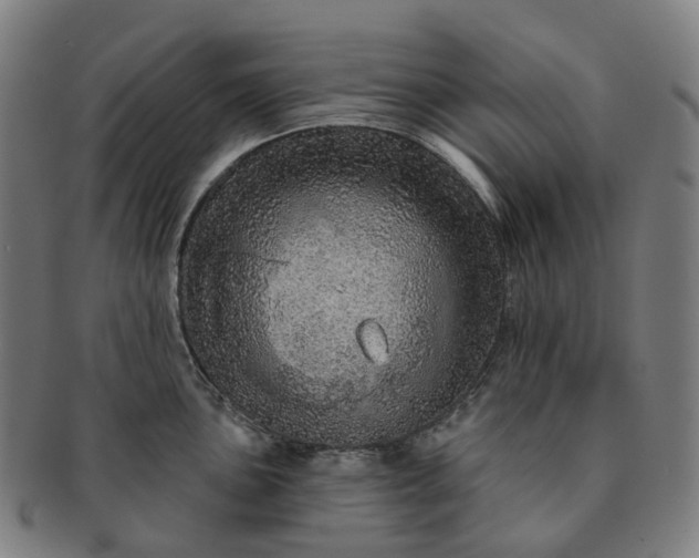 X0000091311051200708241109