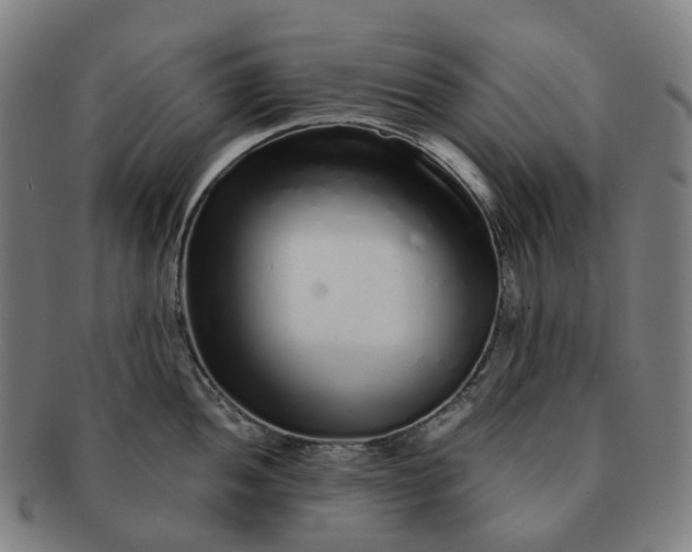 X0000091311052200708241109