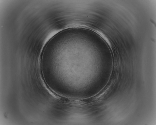 X0000091311053200708241109