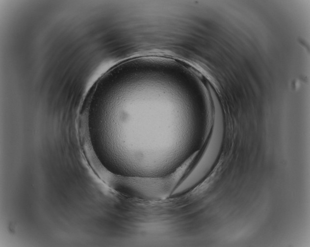 X0000091311054200708241109