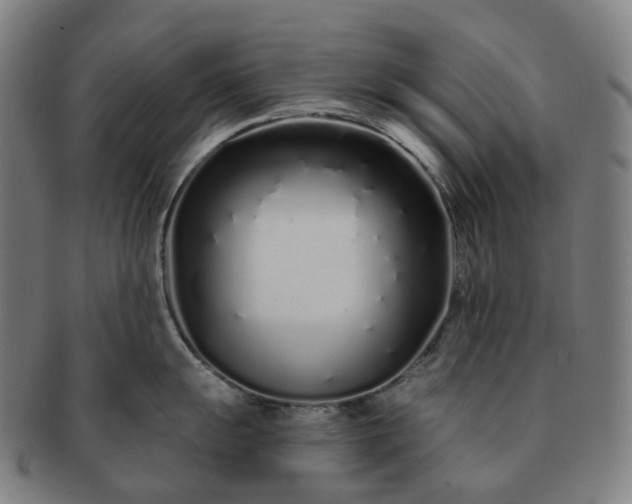 X0000091311055200708241109