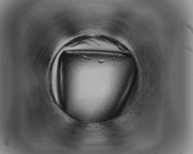 X0000091311056200708241109