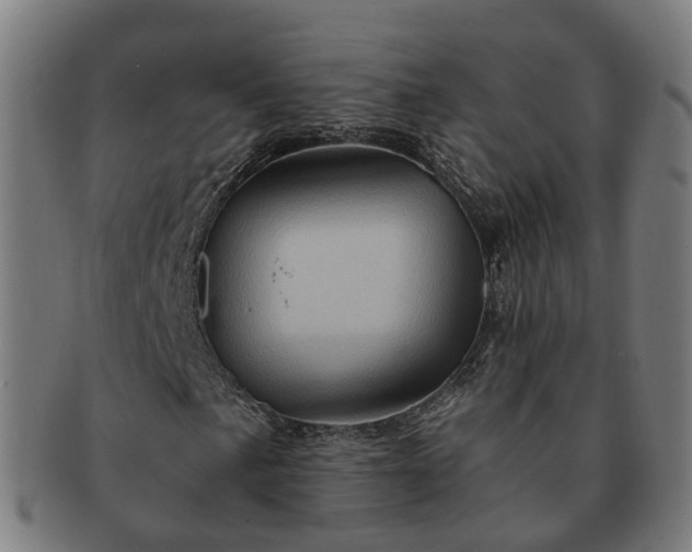 X0000091311057200708241109