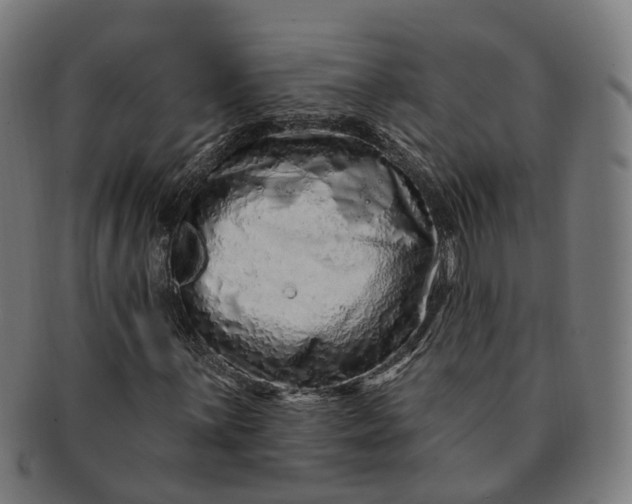 X0000091311059200708241109