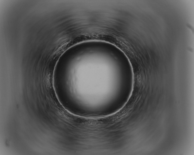 X0000091311060200708241109