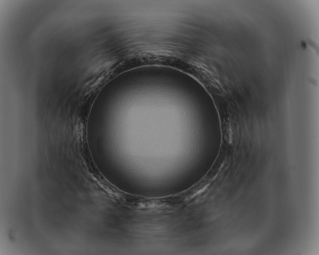 X0000091311061200708241109