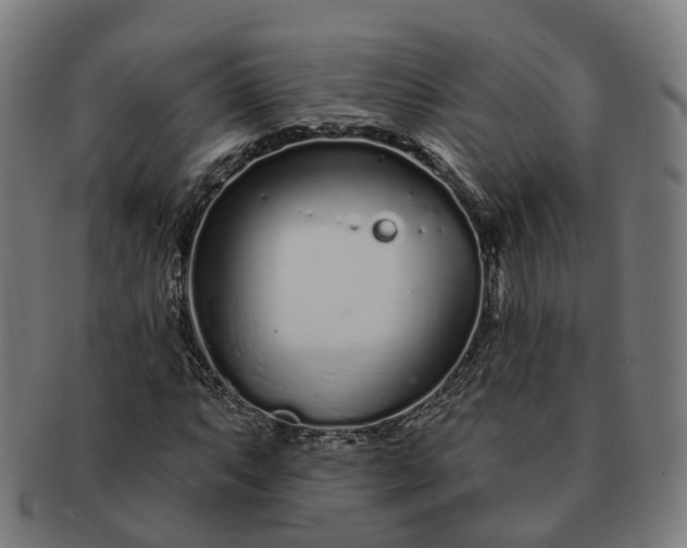 X0000091311063200708241109