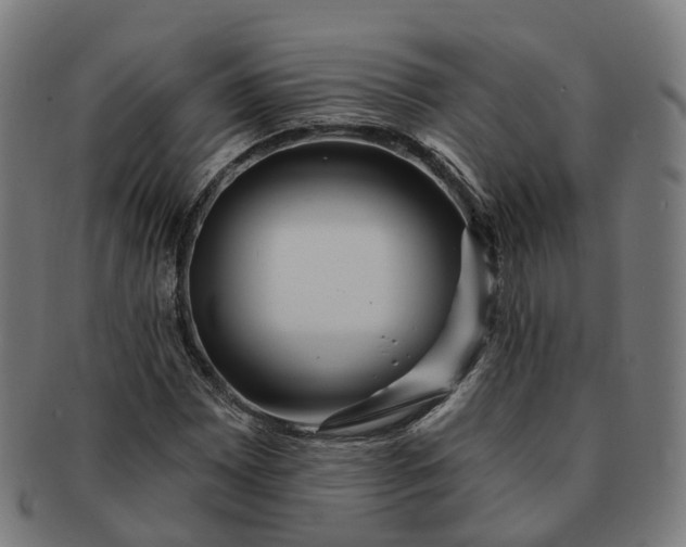 X0000091311065200708241109