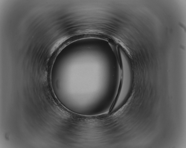 X0000091311066200708241108