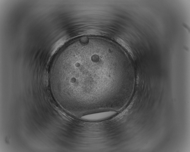 X0000091311067200708241108