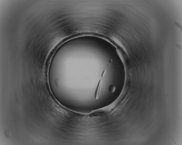 X0000091311068200708241108