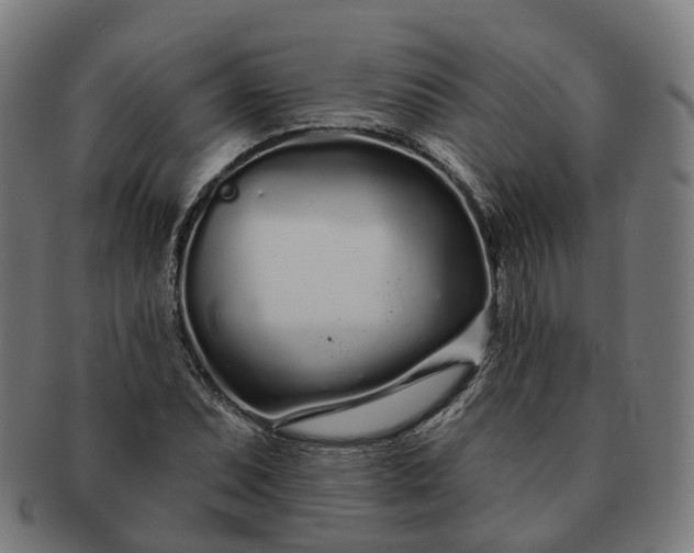 X0000091311071200708241108