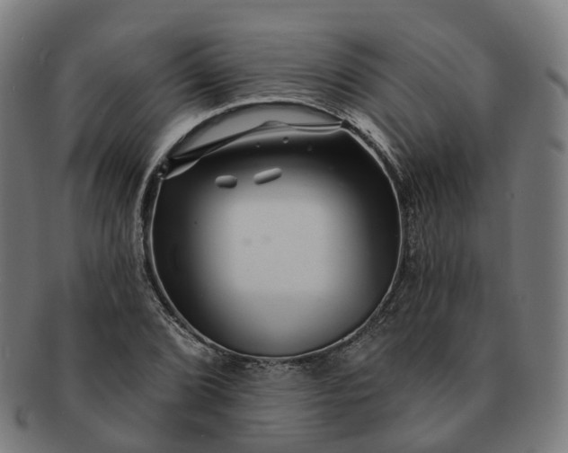 X0000091311072200708241108