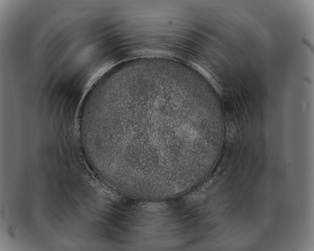 X0000091311074200708241108