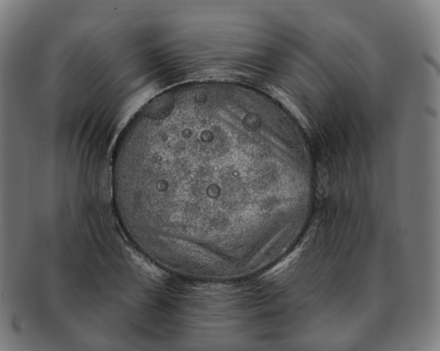 X0000091311075200708241108