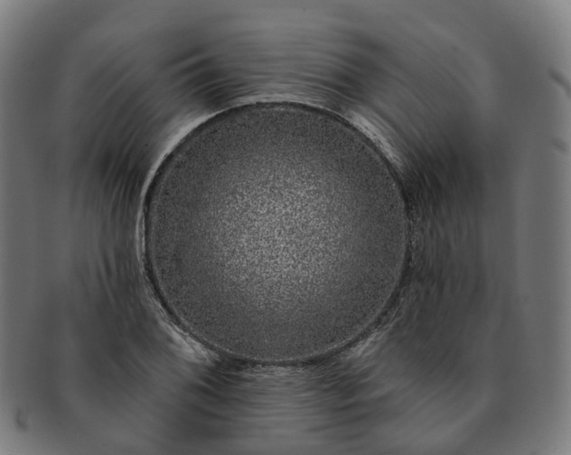 X0000091311076200708241108