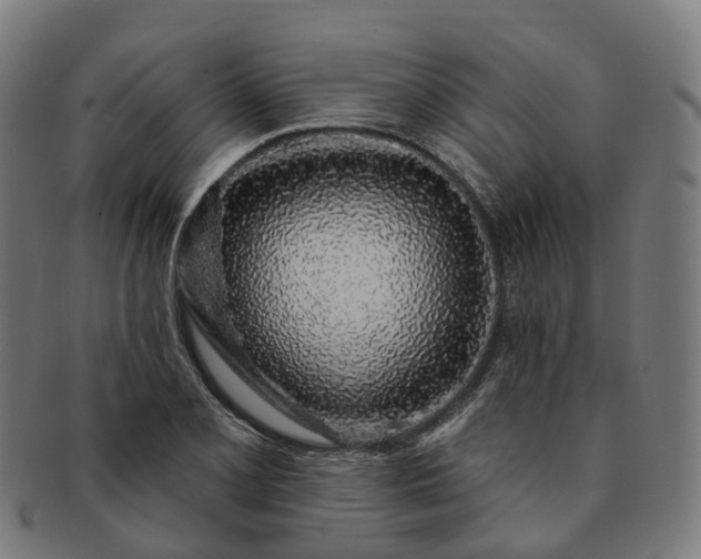 X0000091311077200708241108