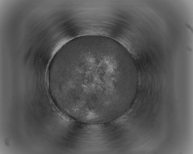 X0000091311078200708241108