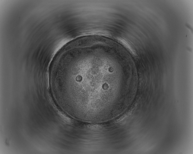 X0000091311079200708241108