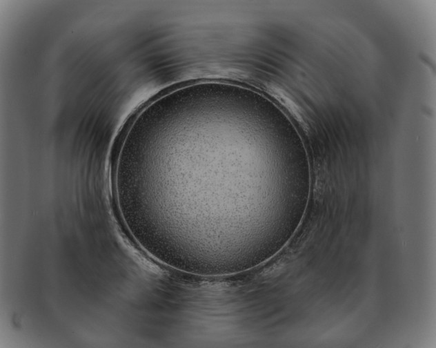 X0000091311080200708241108