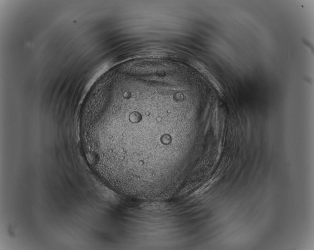 X0000091311083200708241108