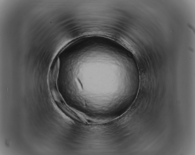 X0000091311084200708241108