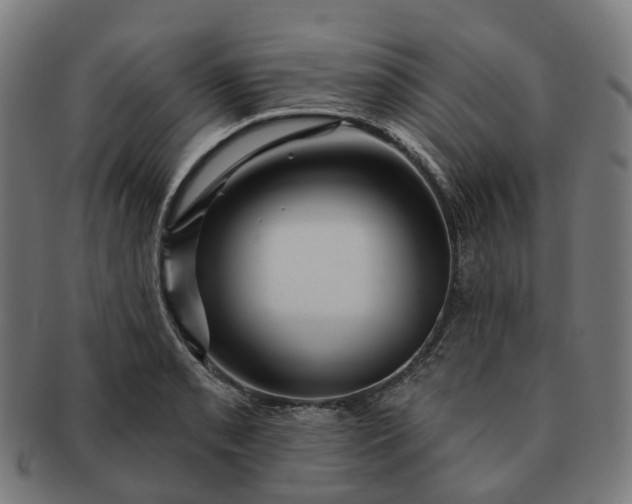 X0000091311085200708241108