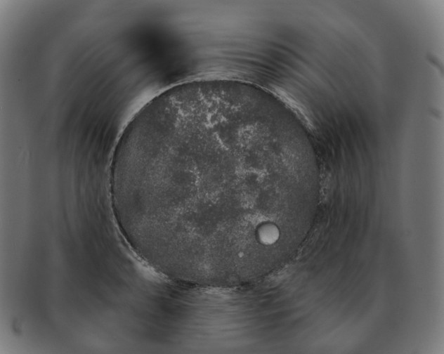 X0000091311086200708241108