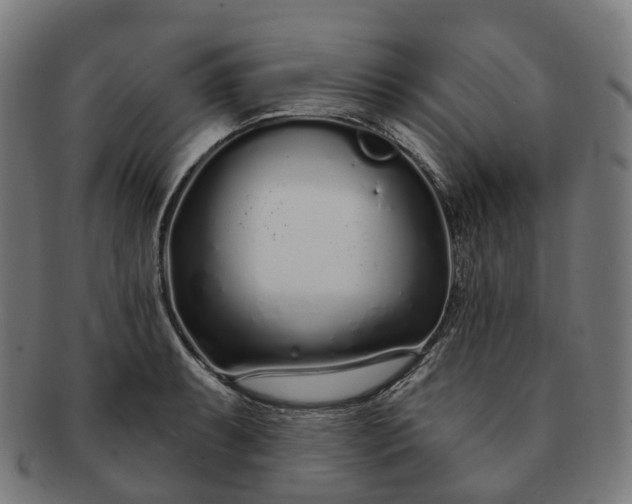 X0000091311087200708241108