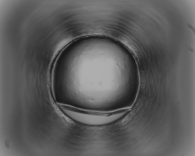 X0000091311088200708241108