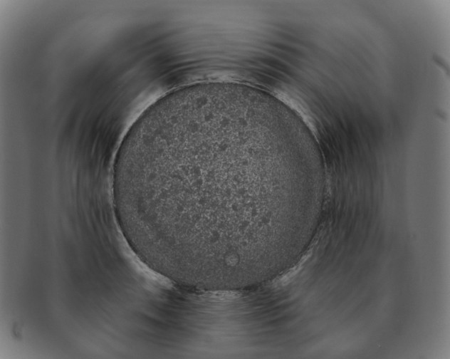 X0000091311090200708241108