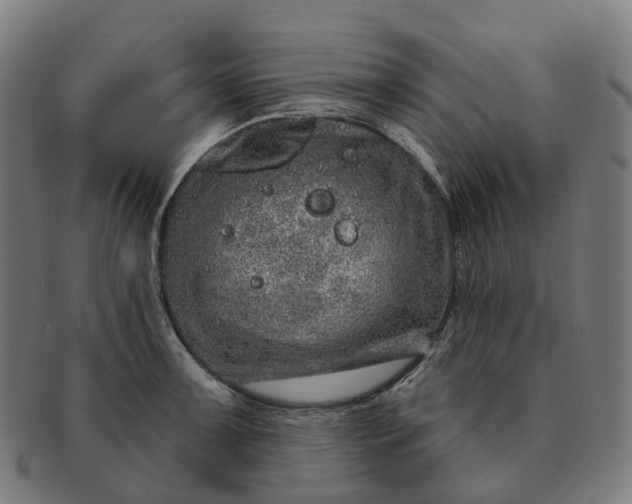 X0000091311091200708241108