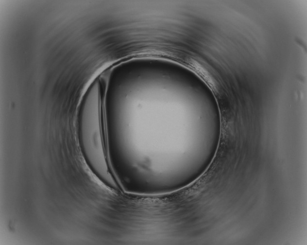 X0000091311092200708241108