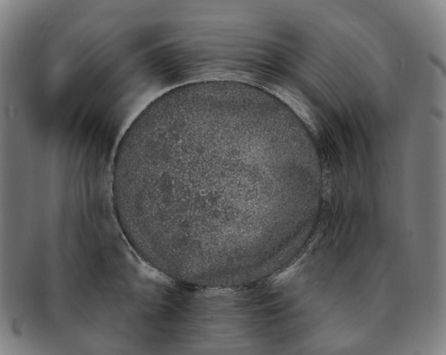 X0000091311094200708241108