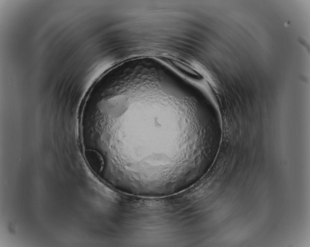 X0000091311095200708241108